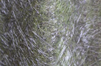 Marston Gate fibreglass roof work